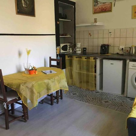 Au Bonheur De Lili Apartment Фонтен-де-Воклюз Екстериор снимка