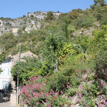 Au Bonheur De Lili Apartment Фонтен-де-Воклюз Екстериор снимка